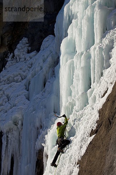 Schönheit  arbeiten  Tal  Eis  Fluss  Sonnenlicht  Klettern  sprechen  Geist  Weg