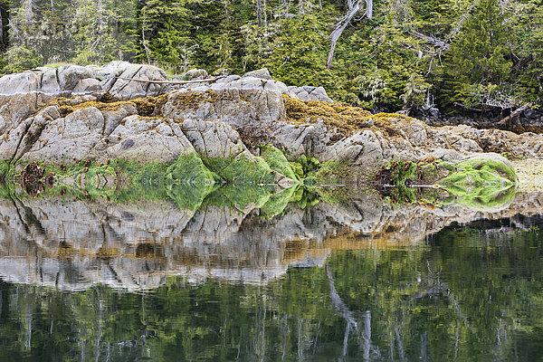 Wasser  geben  Ruhe  aufwärts  Spiegelung  Design  British Columbia  Kanada  Reflections