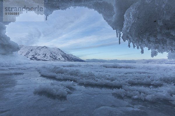 entfernt  bedecken  Morgen  klein  Schaf  Ovis aries  See  Eis  früh  Höhle  Stück  Stunde  Kluane Nationalpark  Yukon