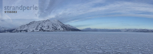 entfernt  bedecken  Morgen  Schaf  Ovis aries  See  Eis  früh  Stück  Stunde  Kluane Nationalpark  Yukon