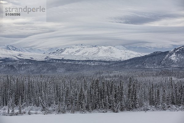 Berg  Wolke  See  umgeben  Fuchs  Yukon