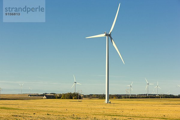 Windturbine Windrad Windräder Kanada Manitoba