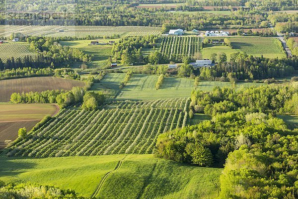 Bauernhof  Hof  Höfe  Tal  Ansicht  Obstgarten  Apfel  Kanada  Nova Scotia  Neuschottland