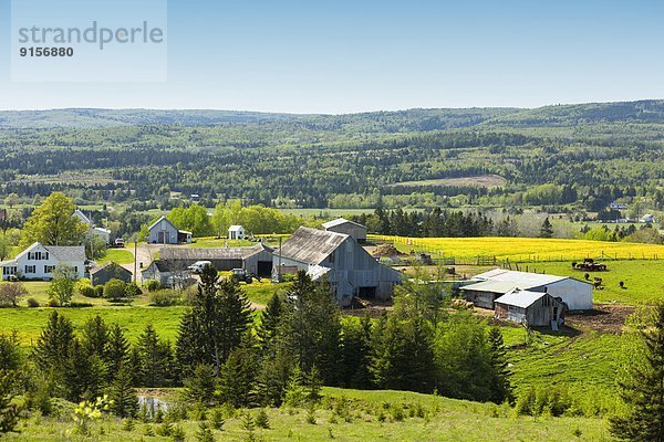 Bauernhof Hof Höfe Kanada Nova Scotia Neuschottland