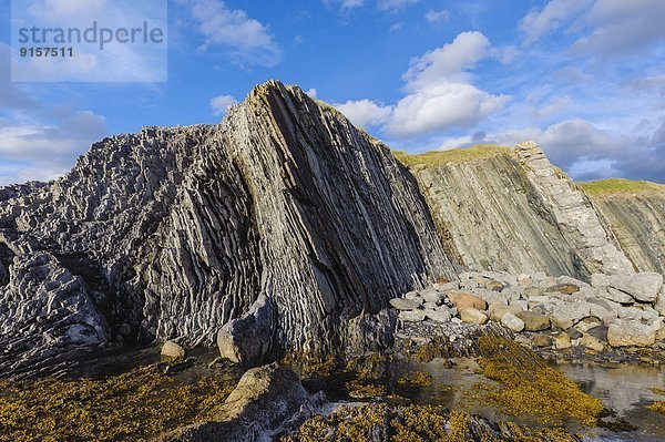 Erde Steilküste grün zeigen Neufundland Kanada links Kalkstein rechts Kalkschiefer