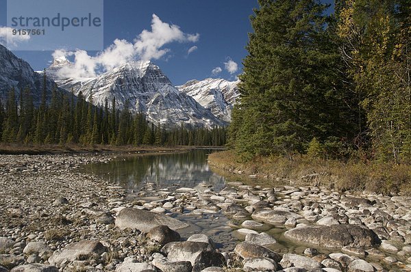 Landschaftlich schön  landschaftlich reizvoll  Berg  Felsen  vorwärts  Autobahn  Jasper Nationalpark  Alberta  Kanada