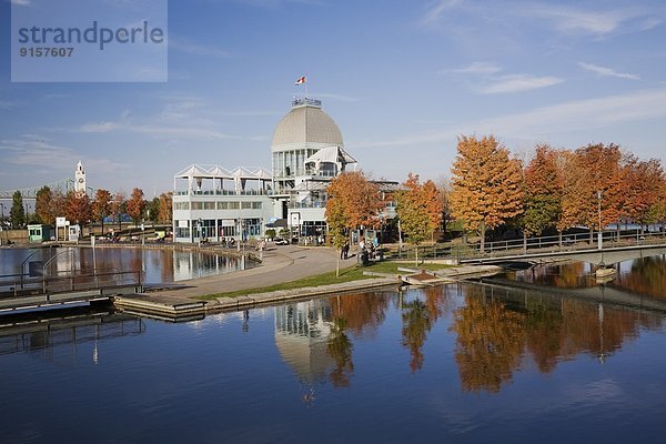 Baum  Spiegelung  Herbst  Ahorn  Kanada  Messehalle  Quebec