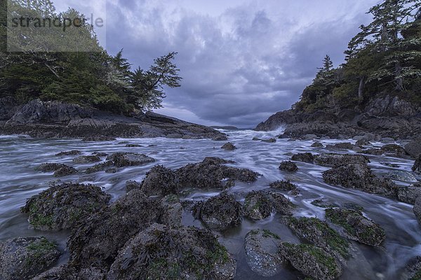 Felsbrocken  aufwärts  Gezeiten  Tofino  British Columbia  British Columbia  Kanada