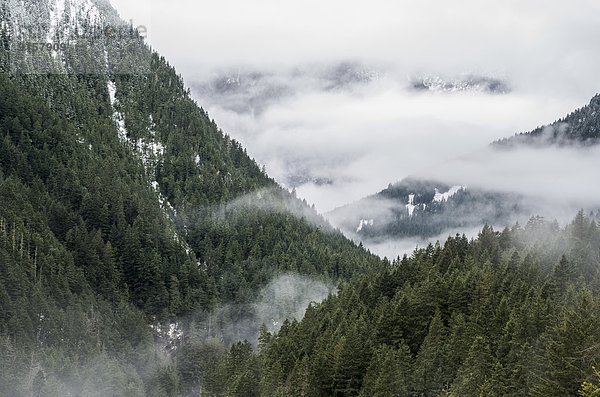 Berg  aufwärts  Ereignis  Nebel  Ländliches Motiv  ländliche Motive  British Columbia  Kanada