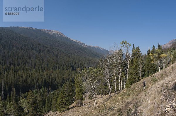 Berg  Tagesausflug  Bach  Spruce Lake Protected Area  British Columbia  Kanada