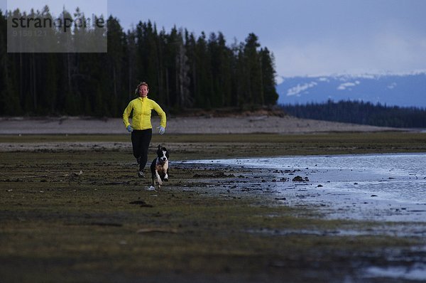 Vereinigte Staaten von Amerika  USA  Wasserrand  Frau  folgen  rennen  See  vorwärts  Jackson  Wyoming