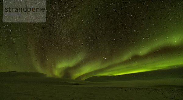 Norden  Polarlicht  Aurora  Yukon