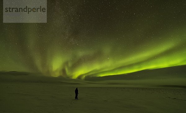 stehend  Mensch  unterhalb  Norden  Polarlicht  Aurora  Schnee  Yukon