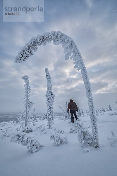 stehend  Baum  Mensch  Rahmen  Schnee  Yukon