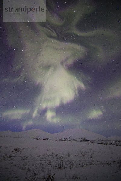 Norden  Polarlicht  Aurora  Yukon