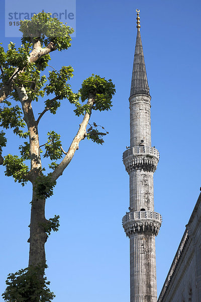 Minarett der Blaue Moschee  Istanbul  Türkei