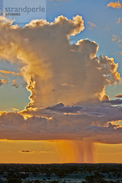 Regenwolken über dem Kgalagadi-Transfrontier-Park  Kalahari  Südafrika  Botswana
