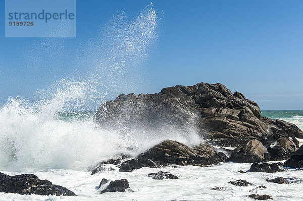 Wellen brechen an Felsen  Hermanus  Südafrika