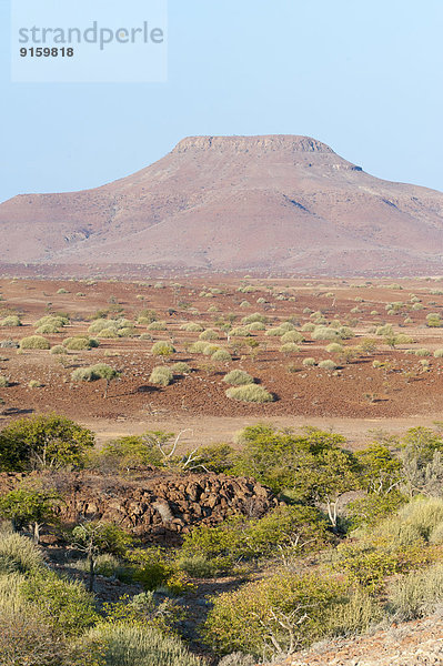 Trockene  weite Landschaft und Berg in der Kunene Region  Namibia