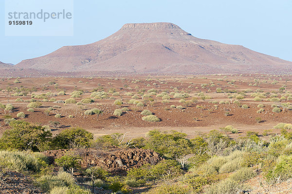 Trockene  weite Landschaft und Berg in der Kunene Region  Namibia