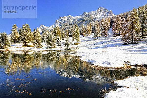 Schwarzsee oder Lai Nair mit verschneitem Lärchenwald  Tarasp  Engadin  Kanton Graubünden  Schweiz