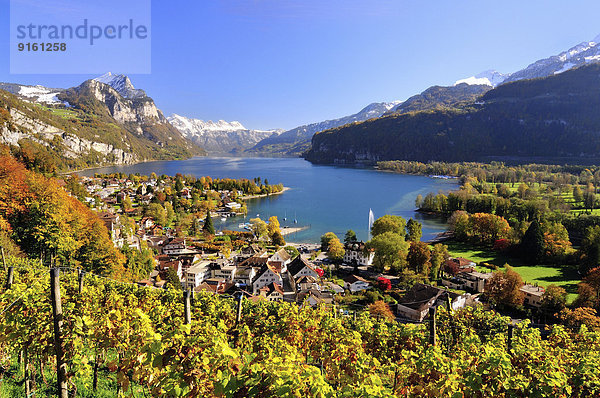 Herbst Ansicht Schweiz Walensee