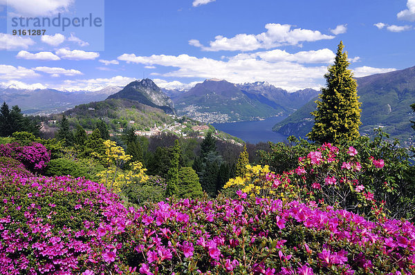 Dorf Ansicht Lugano Schweiz Kanton Tessin