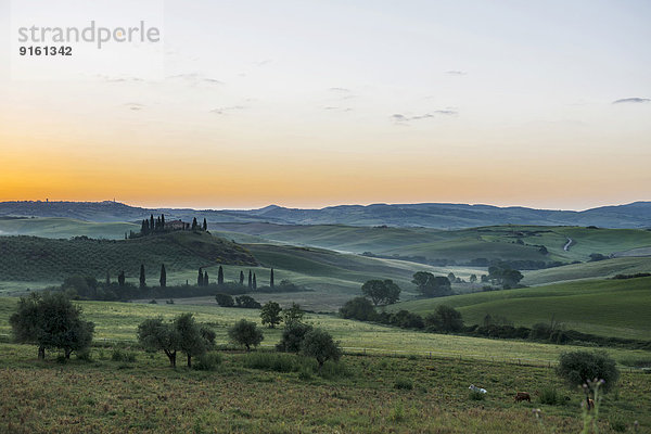 Baum Landschaft Hügel Sonnenaufgang Bauernhof Hof Höfe UNESCO-Welterbe Italien Toskana Val d'Orcia Provinz Siena