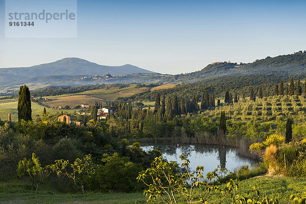 Landschaft mit Hügeln und Zypressen  Morgenlicht  Val d'Orcia  UNESCO Weltkulturerbe  bei Pienza  Provinz Siena  Toskana  Italien