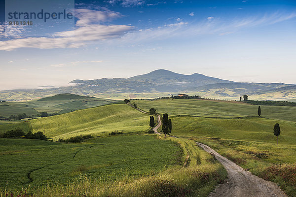 Landschaft mit Hügeln und Zypressen  Morgenlicht  Val d'Orcia  UNESCO Weltkulturerbe  bei Pienza  Provinz Siena  Toskana  Italien