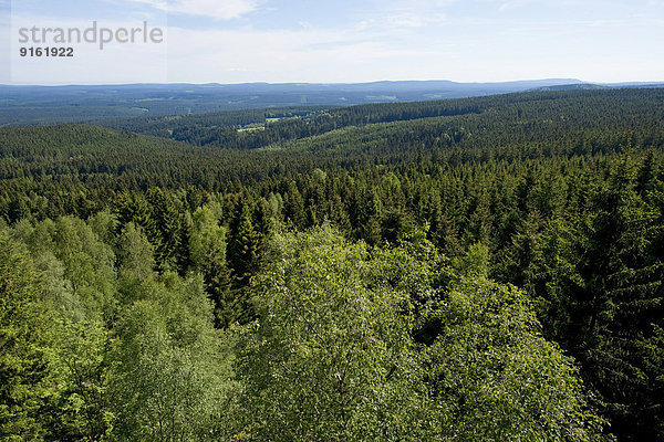 Ausblick vom Trudenstein über den Harz  Nationalpark Harz  Sachsen-Anhalt  Deutschland