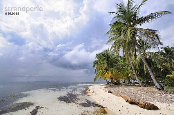 Einsamer Strand mit Palmen  tropische Insel  Cayos Chichime  San-Blas-Inseln  Panama