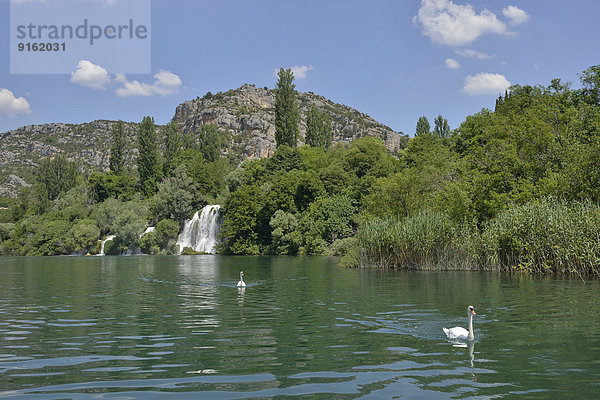 Wasserfall Ro?ki slap  Krka-Nationalpark  Gespanschaft ?ibenik-Knin  Dalmatien  Kroatien