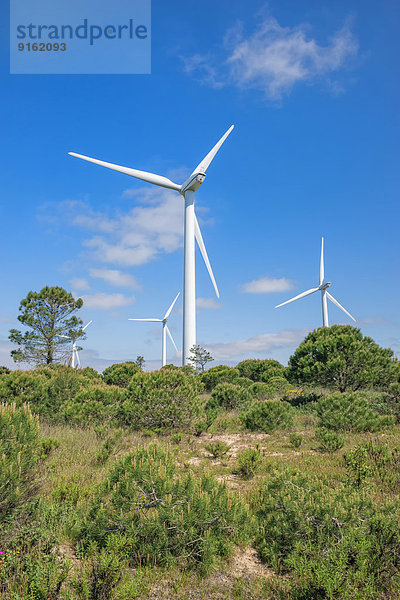 Windturbine Windrad Windräder Portugal