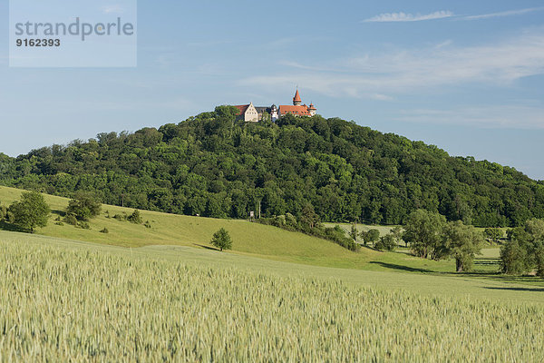 Veste Heldburg  ab 2015 Deutsches Burgenmuseum  auf einem bewaldeten Vulkankegel  Burgenstraße  Heldburg  Bad Colberg-Heldburg  Thüringen  Deutschland