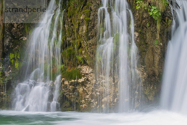 Wasserfall im Mendlingtal  Mendlingbach  Göstling an der Ybbs  Niederösterreich  Österreich