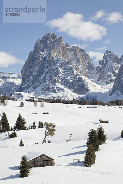 Winterlandschaft  Holzhütte vorn  hinten Gipfel des Langkofel  Seiser Alm  Dolomiten  Südtirol  Alto Adige  Italien