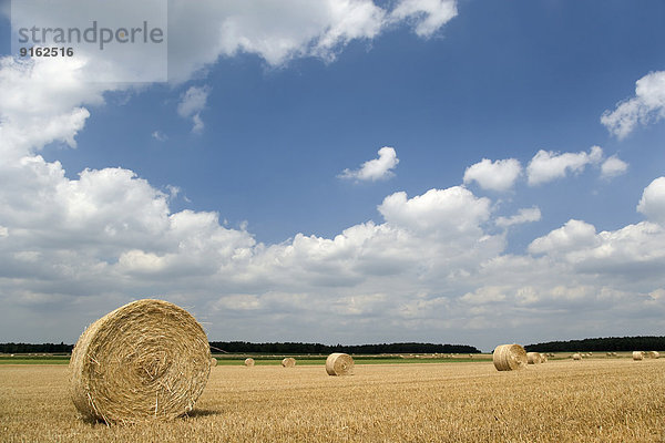 Feld mit Strohballen vor blauem Himmel mit weißen Wolken  Beckedorf  Niedersachsen  Deutschland