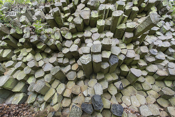 Basaltprismenwand  Polygon-Säulen aus erstarrter Lava  ca. 20 Millionen Jahre alt  UNESCO-Biosphärenreservat Rhön  Oberelsbach  Bayern  Deutschland