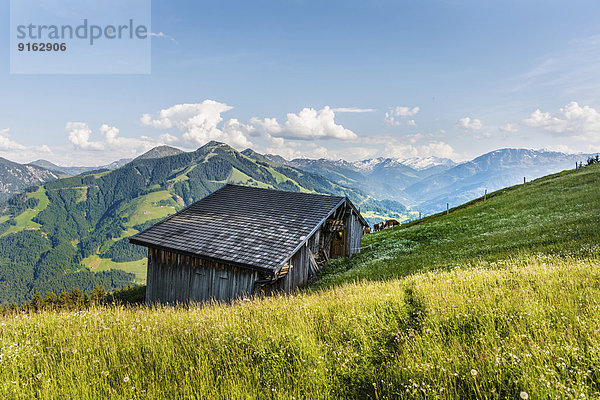 Almwiese vor einer Hütte  Brixen im Thale  Tirol  Österreich