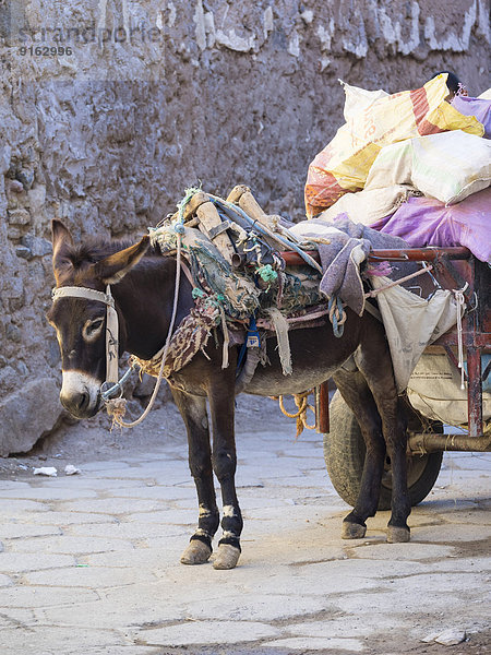 Packesel mit beladenem Wagen in der Medina  Marrakesch  Marrakech-Tensift-Al Haouz  Marokko