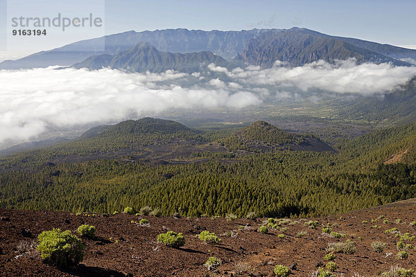 Vulkankrater im Nationalpark Caldera de Taburiente  La Palma  Kanarische Inseln  Spanien