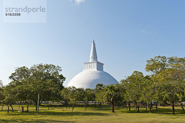 Großer weißer Stupa  Ruvanvelisaya Dagoba  Anuradhapura  Sri Lanka