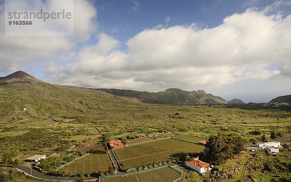 Fruchtbare Hochebene  Weinberge  erloschene Vulkankegel  bei Santiago del Teide  Teneriffa  Kanarische Inseln  Spanien