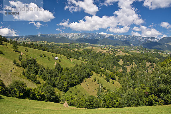 Berglandschaft mit Almwiesen vor Bergkette  Karpaten  Rumänien