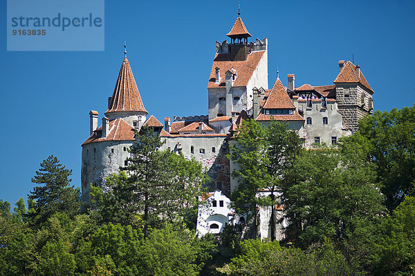 Schloss Bran  auch Draculaschloss oder Törzburg  Bran  Bra?ov  Siebenbürgen  Karpaten  Rumänien