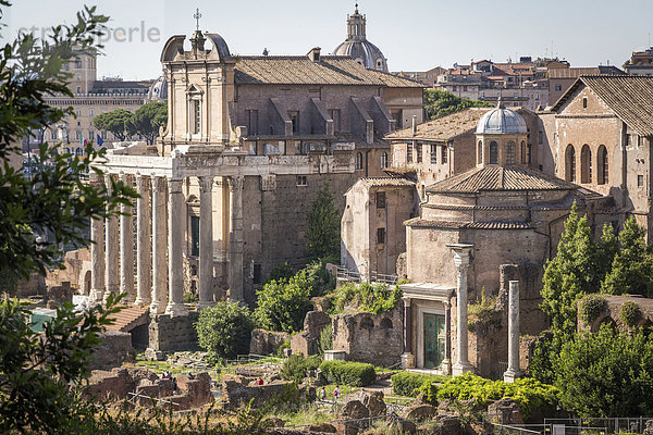 Tempel des Antoninus Pius und der Faustina  Forum Romanum  Rom  Latium  Italien