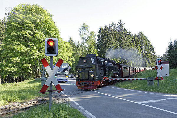 Brockenbahn  bei Drei Annen-Hohne  Harz  Niedersachsen  Deutschland