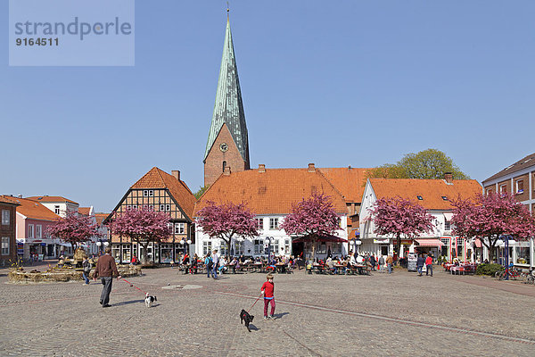 Marktplatz und St.-Michaelis-Kirche  Eutin  Schleswig-Holstein  Deutschland