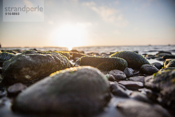 Kieselsteine am Strand von Helgoland  Schleswig-Holstein  Deutschland